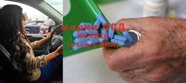 индика Баксан