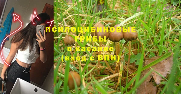 дмт Армянск