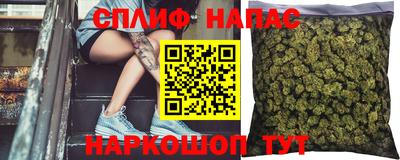 прущие грибы Шарыпово