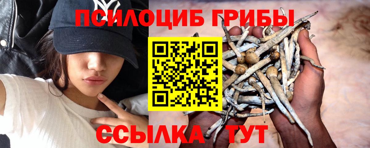 даркнет сайт  Вход с VPN  Коломна  Галлюциногенные грибы Psilocybe 
