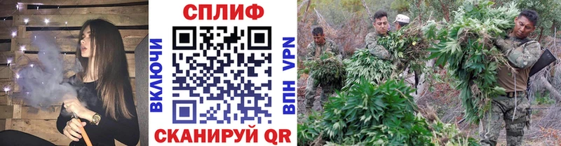 мега вход  это наркотические препараты  МАРИХУАНА план  Коломна 